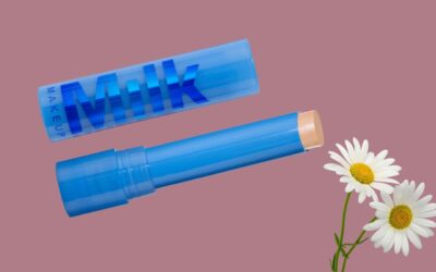 New Milk Makeup Hydro Grip Hydrating Gel Concealer